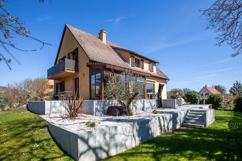 House with garden and terrace in the vineyard