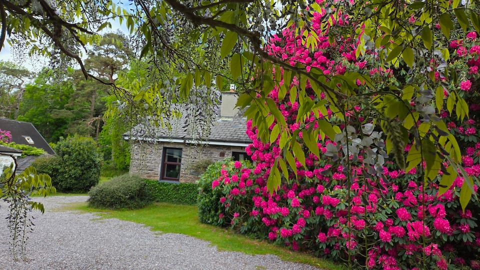 A whitewashed cottage in four acres of gardens on Caragh Lake, Killorglin, County Kerry, Ireland, photo 8 of 10
