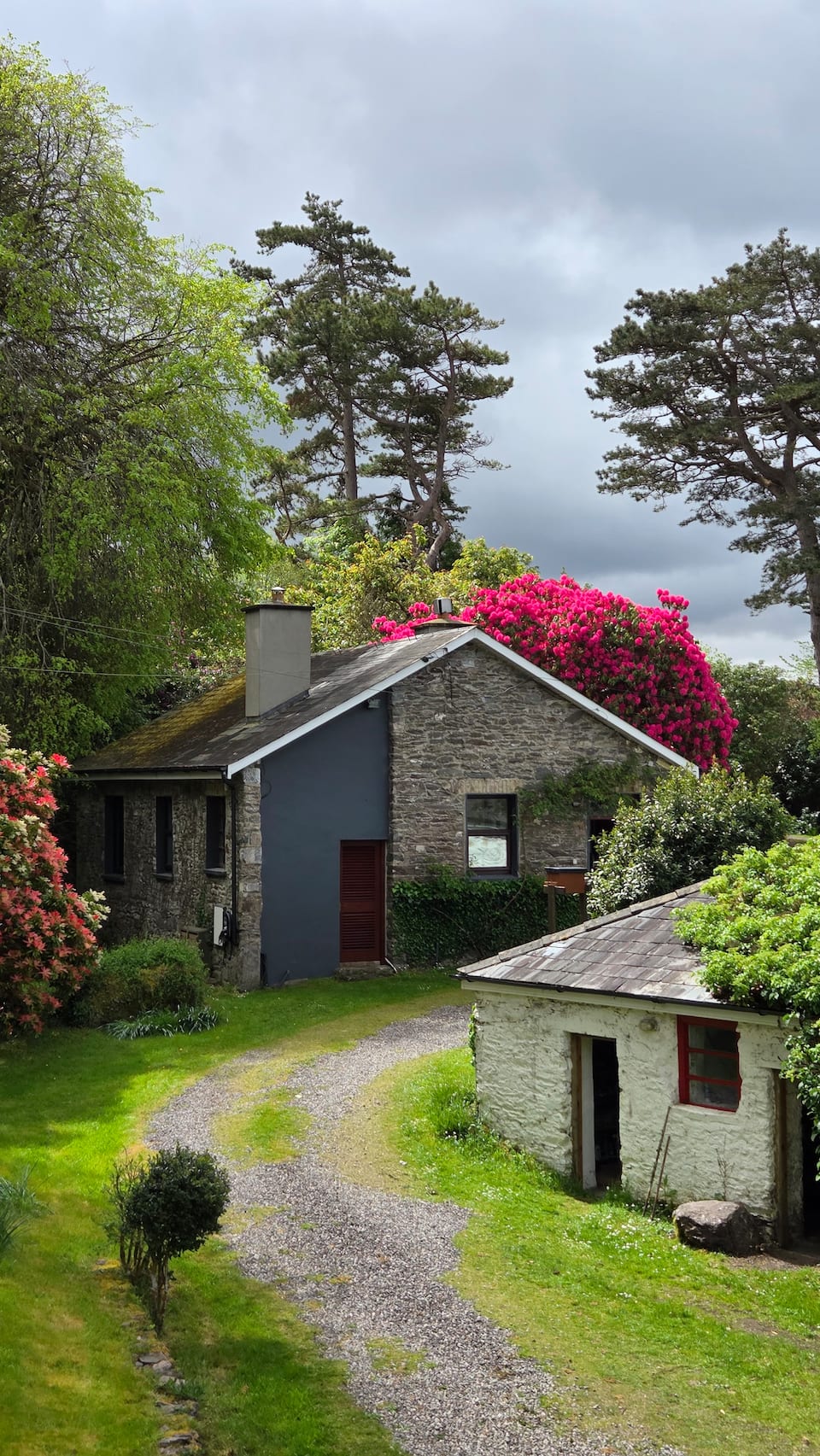 A whitewashed cottage in four acres of gardens on Caragh Lake, Killorglin, County Kerry, Ireland, photo 5 of 10