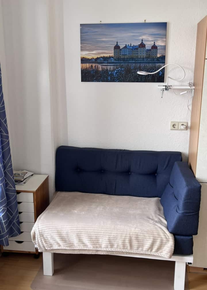 Helle 1-raum-wohnung Apartment Mit Balkon+küche - Dresden