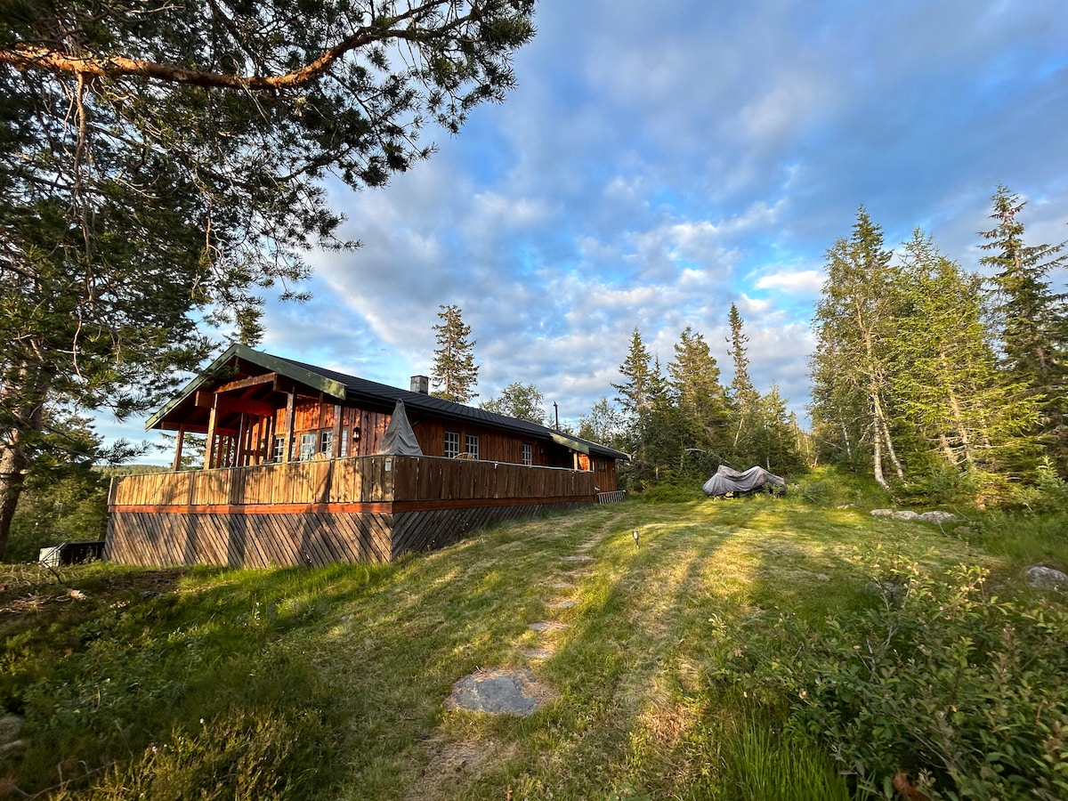 A charming cabin is surrounded by lush greenery and tall trees, featuring a wooden deck that offers ample outdoor space. A pathway leads to the entrance, with natural light filtering through the clouds above, creating a serene outdoor setting.