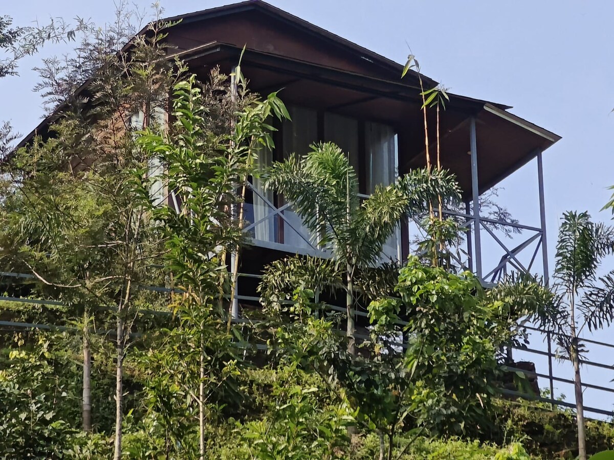 A charming cabin-style home is perched on a hillside, surrounded by lush greenery. Large windows allow natural light to fill the space, while a spacious balcony offers a view of the surrounding landscape. The structure features a sloped roof and wooden elements.