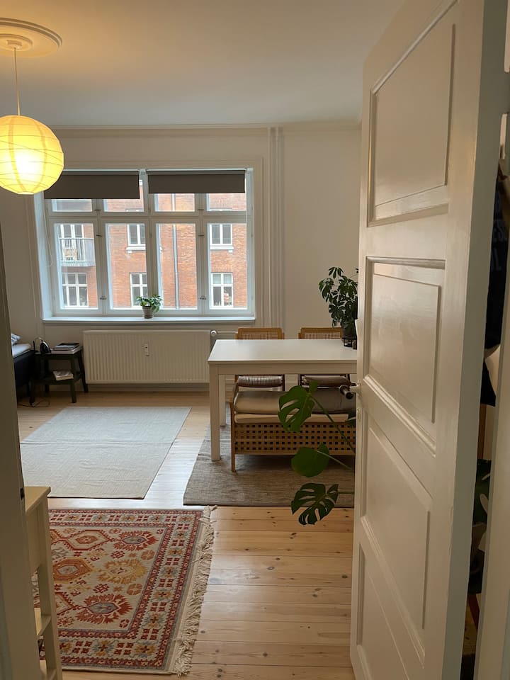 Cozy Copenhagen Apartment - 