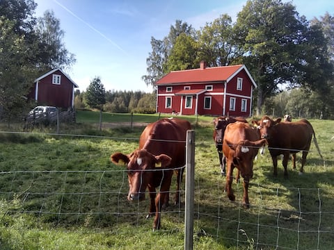 Lovely house in the countryside