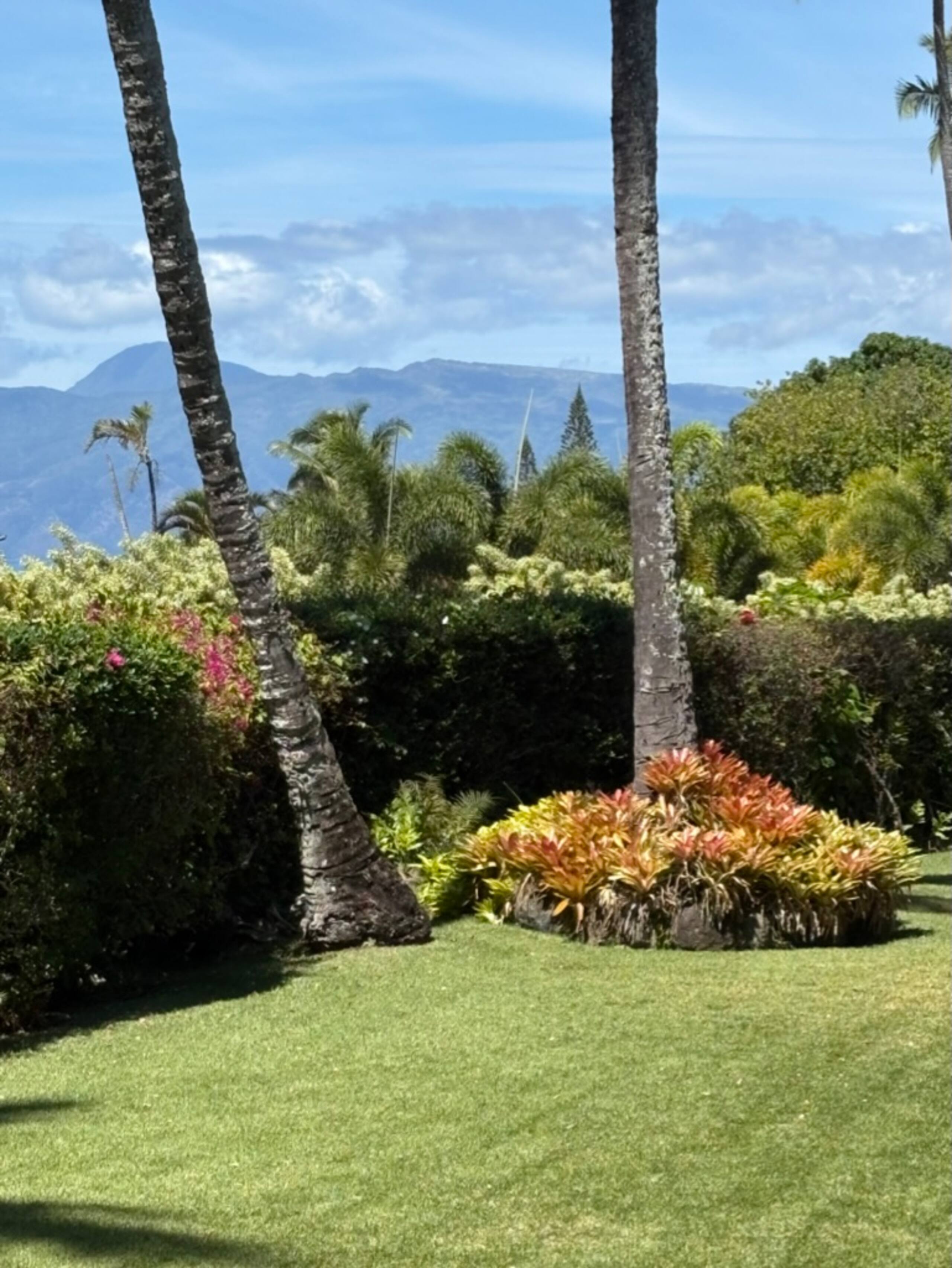 Condo in Lahaina · ★4.96 · 1 bedroom · 2 beds · 1 private bath - Image 39