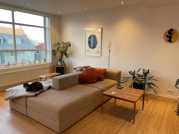 Artistic 2 Floor Family Penthouse (With A Cat) - Reykjavík