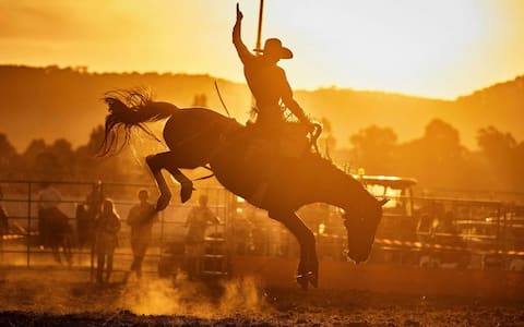 Pet-Friendly River Ranch Escape • Walk to Rodeo