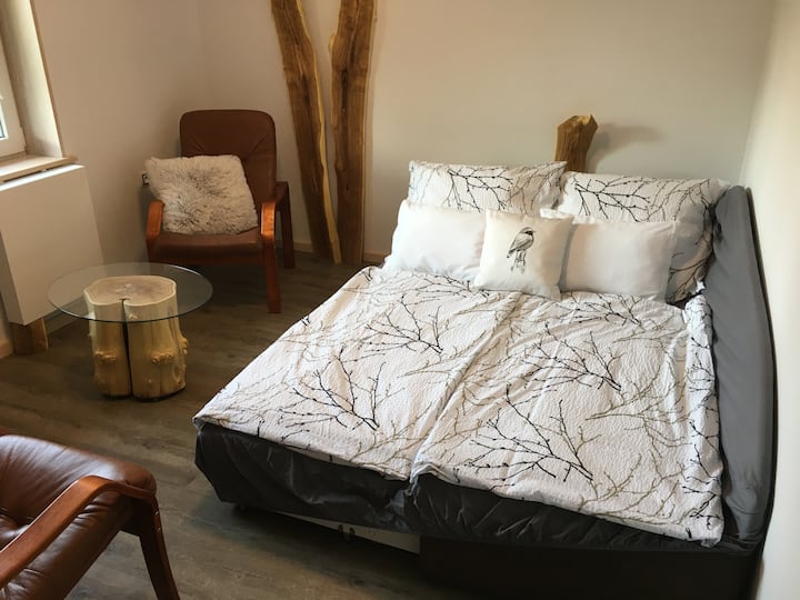 Lovely Vacation Apartment With Garden - Příbram