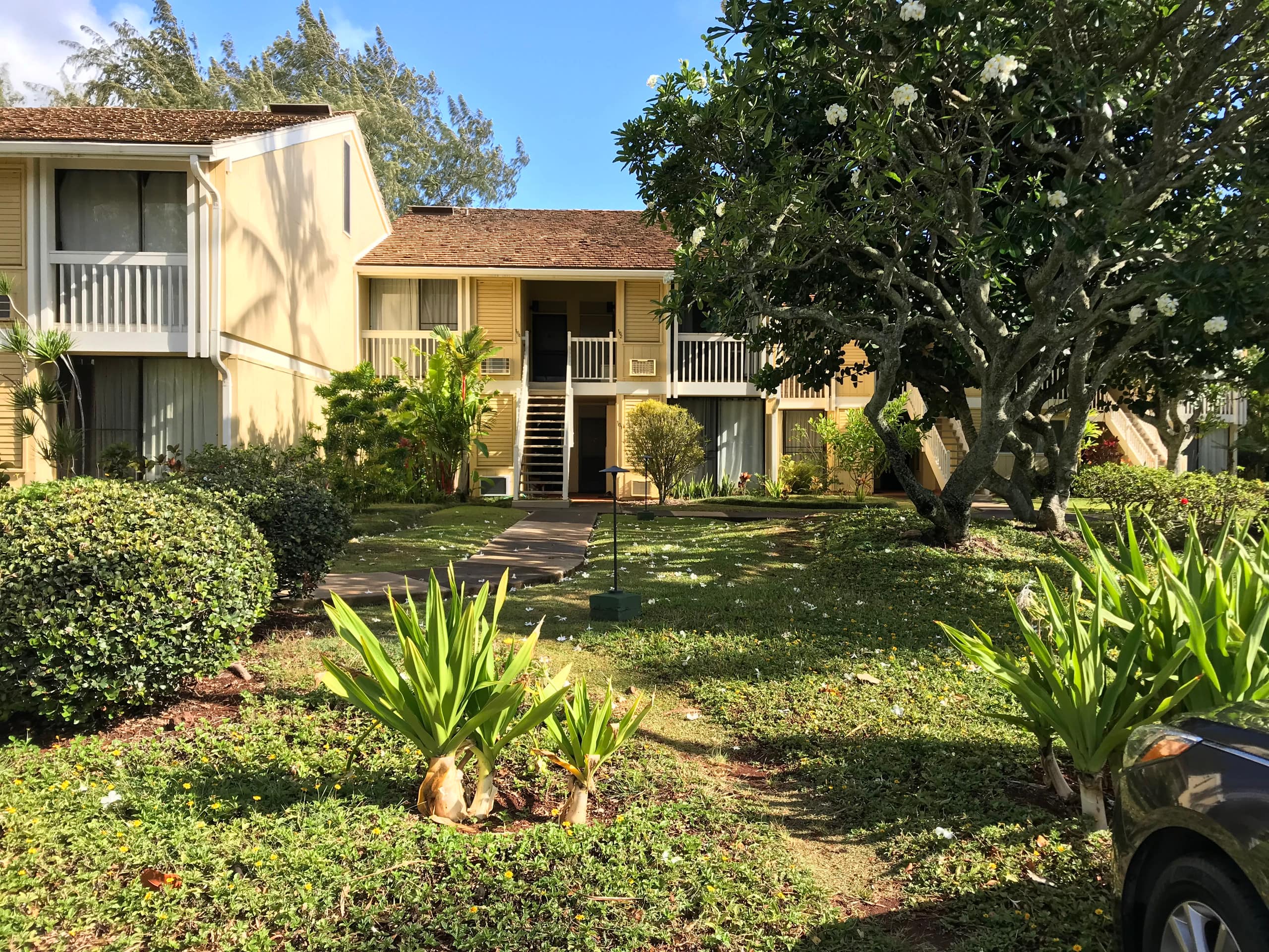 Condo in Kahuku · ★4.92 · 1 bedroom · 2 beds · 2 shared baths - Image 21