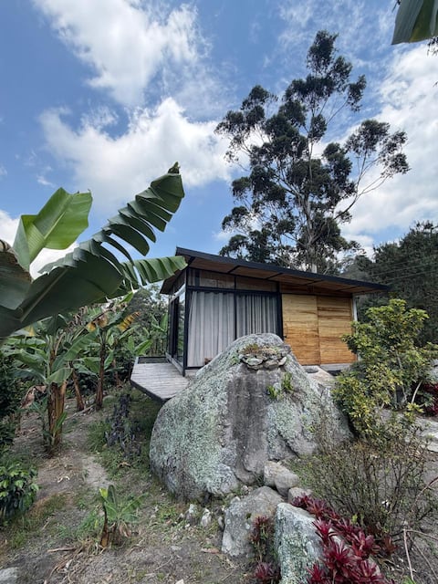 Crowned Sapphire Nest