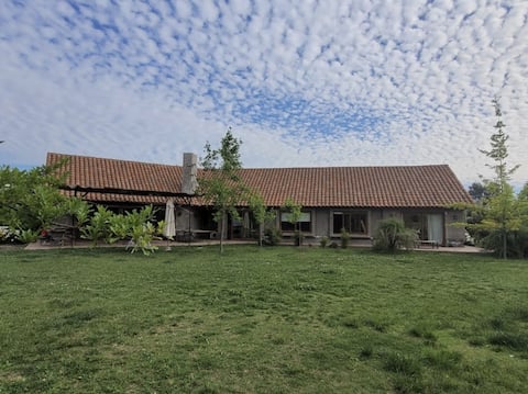 Family home, swimming pool, games, and a large garden.