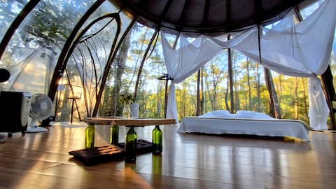 Dome suspended in the Atlantic Forest!