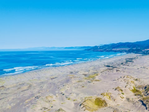 Pacific Sands @ The Nook