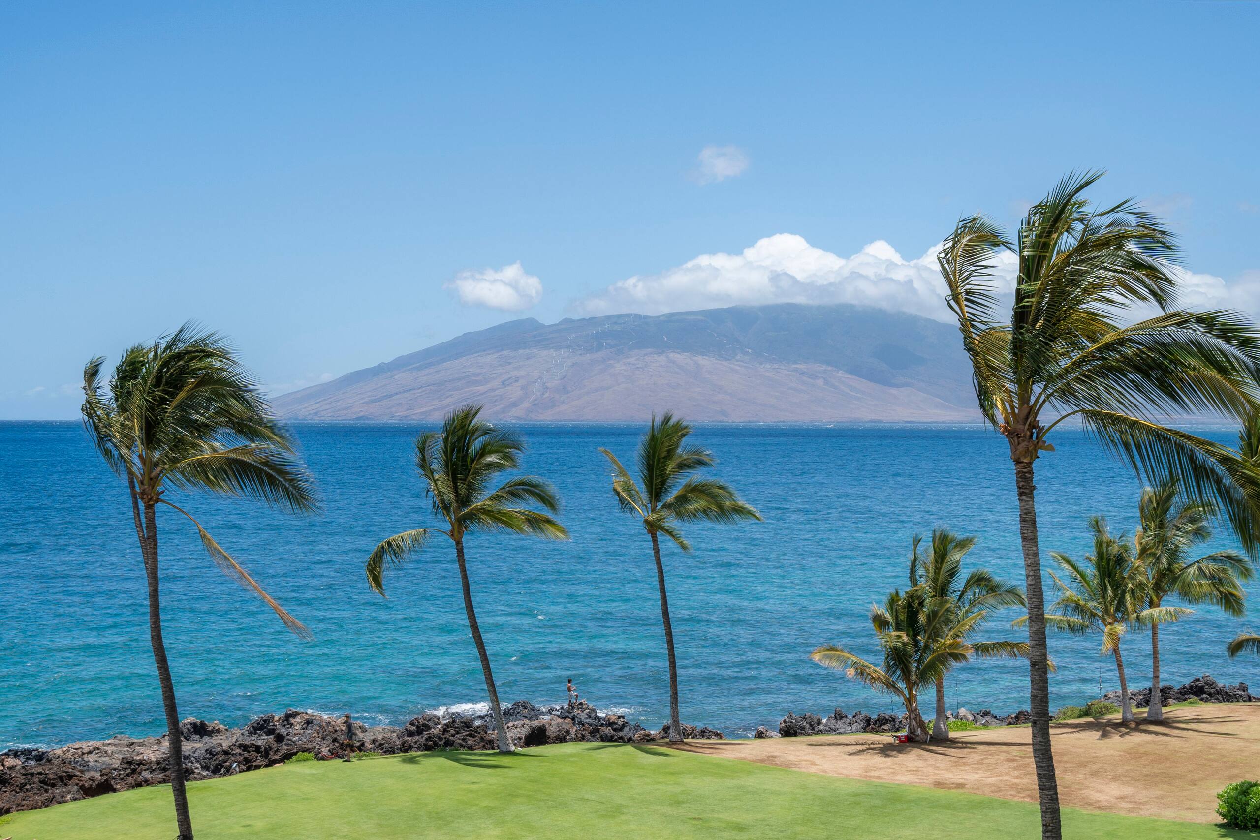 Condo in Kihei · ★4.8 · 1 bedroom · 1 bed · 1 bath - Image 7