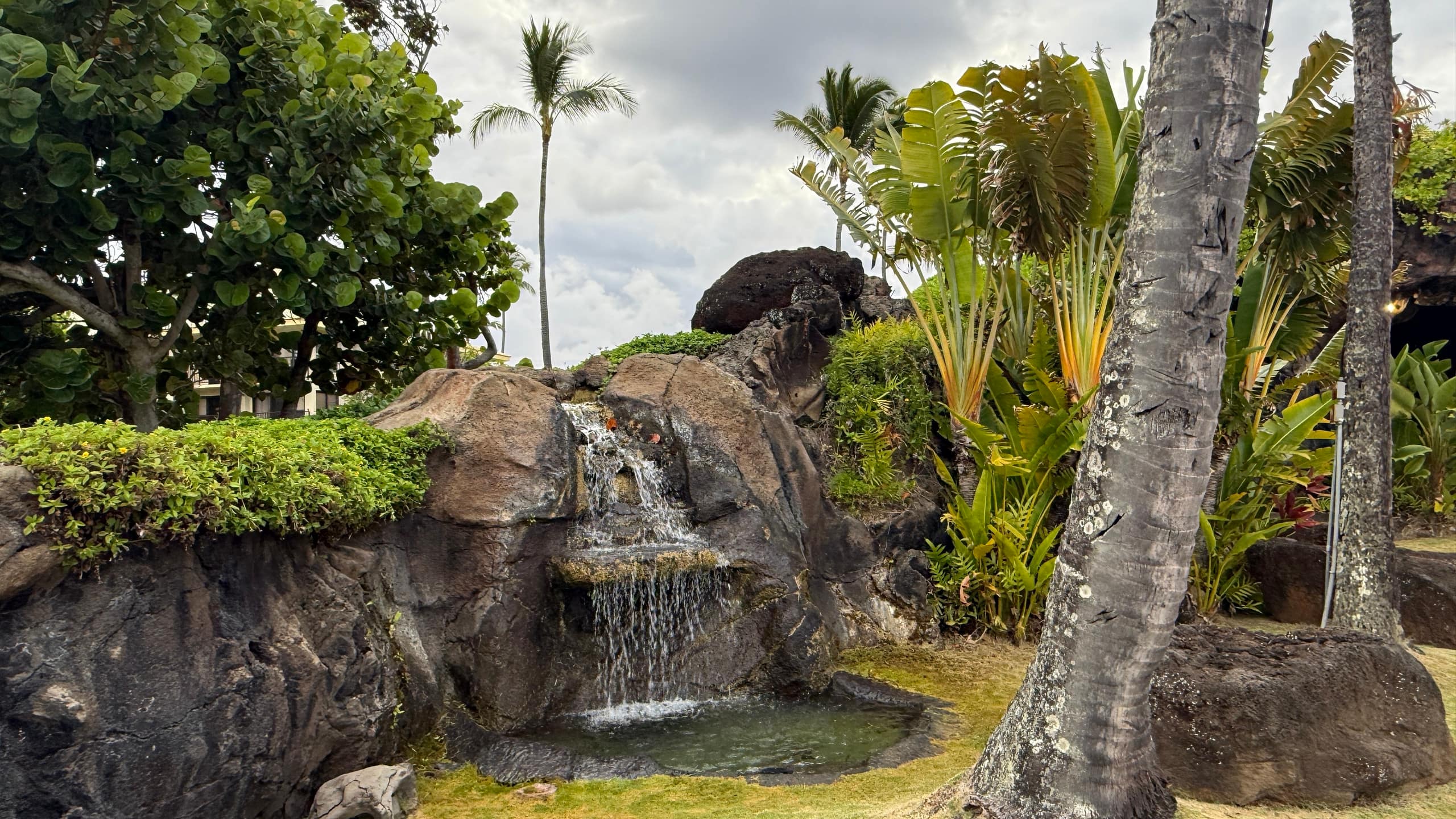 Resort in Lihue · ★4.45 · 1 bedroom · 1 bed · 1 private bath - Image 68