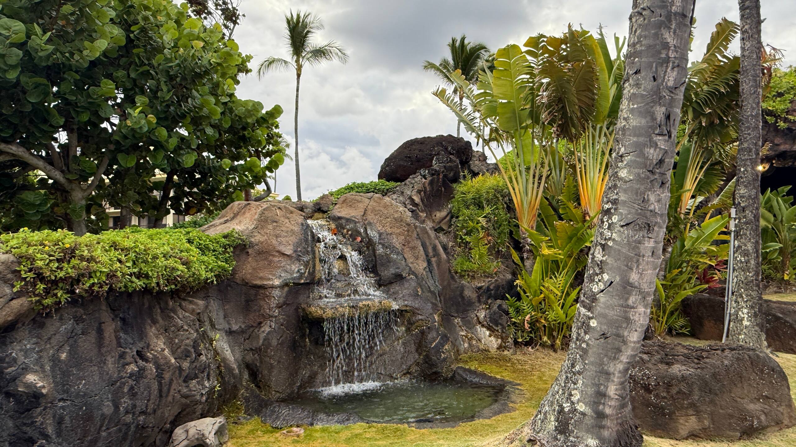 Resort in Lihue · ★4.45 · 1 bedroom · 1 bed · 1 private bath - Image 43