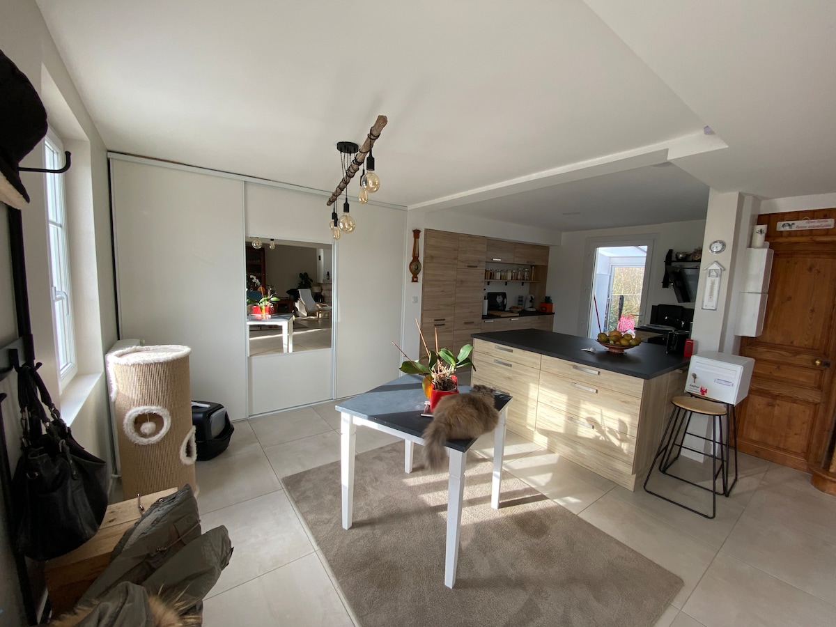 A modern living space features a neutral color palette with a dining table at the center. Pendant lighting hangs above the table, while a large mirror reflects the room's spaciousness. Natural light streams through windows, illuminating the organized kitchen area in the background.