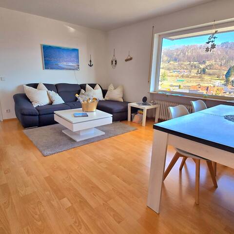 Leistungsstarkes Airbnb: Beautiful apartment with lake view and terrace in Bodman Ludwigshafen
