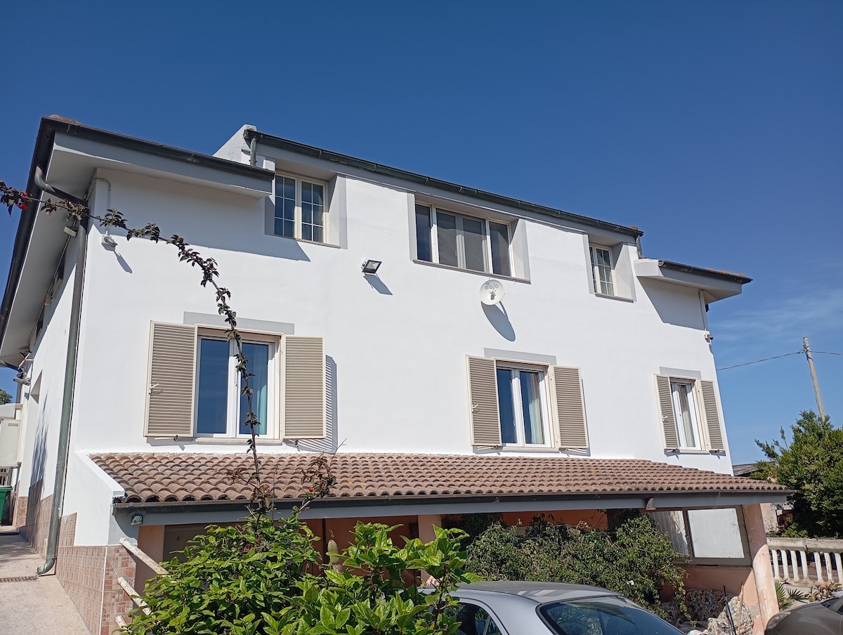 A spacious white building structure with a tiled roof is showcased under a clear blue sky. Multiple windows, some adorned with wooden shutters, provide light to the interior. Lush greenery surrounds the base of the building, contributing to a serene outdoor environment.