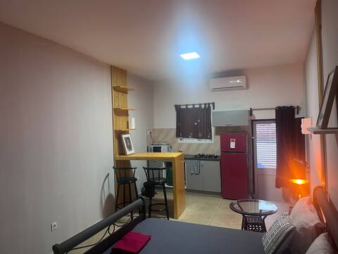 Furnished studio rental