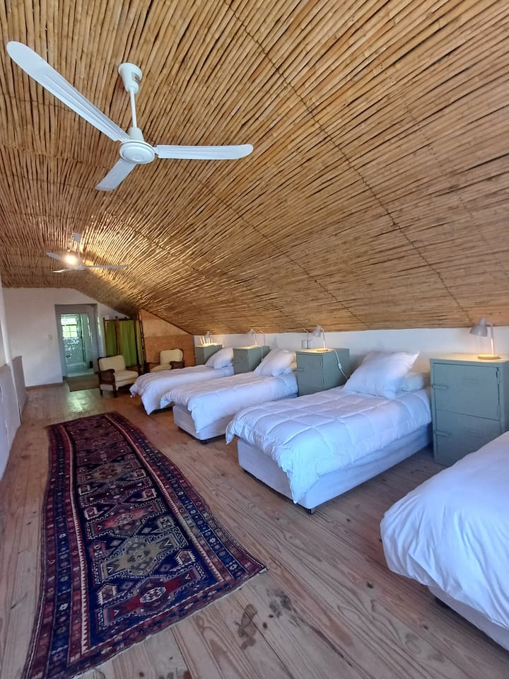 אזור פתוח למעלה עם 4 מיטות יחיד