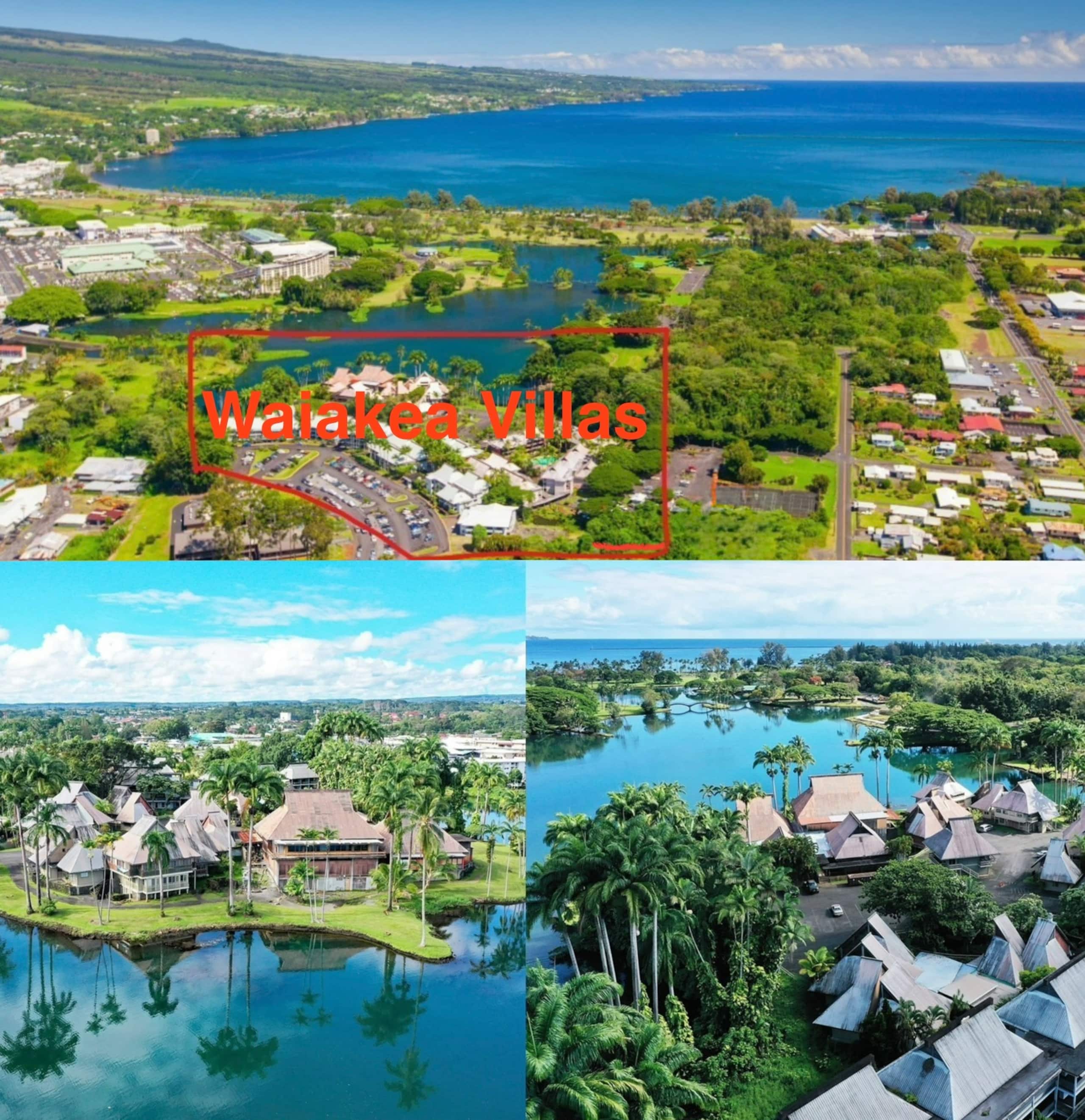 Condo in Hilo · ★4.87 · 2 bedrooms · 4 beds · 1 private bath - Image 13