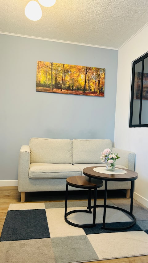 Cozy studio near Défense Arena