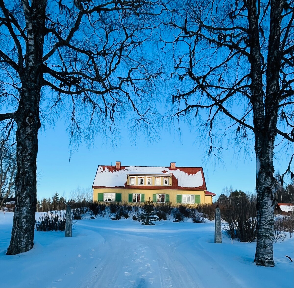 A quaint house is framed by two trees, with its colorful yellow and red exterior contrasting against a clear blue sky. A snow-covered pathway leads to the entrance, surrounded by white snow and sparse winter vegetation.