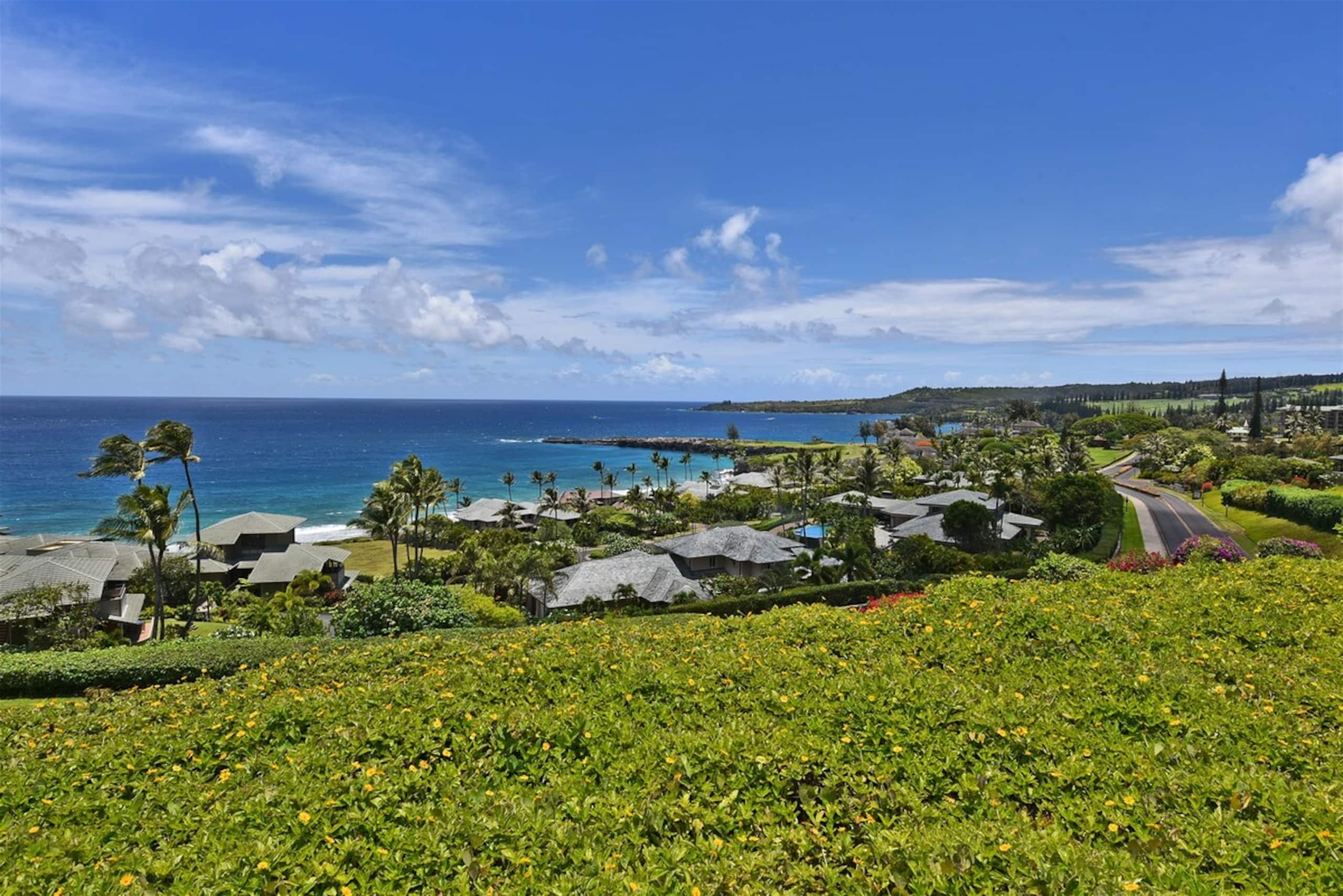 Villa in Lahaina · ★4.9 · 1 bedroom · 2 beds · 2 baths - Image 31