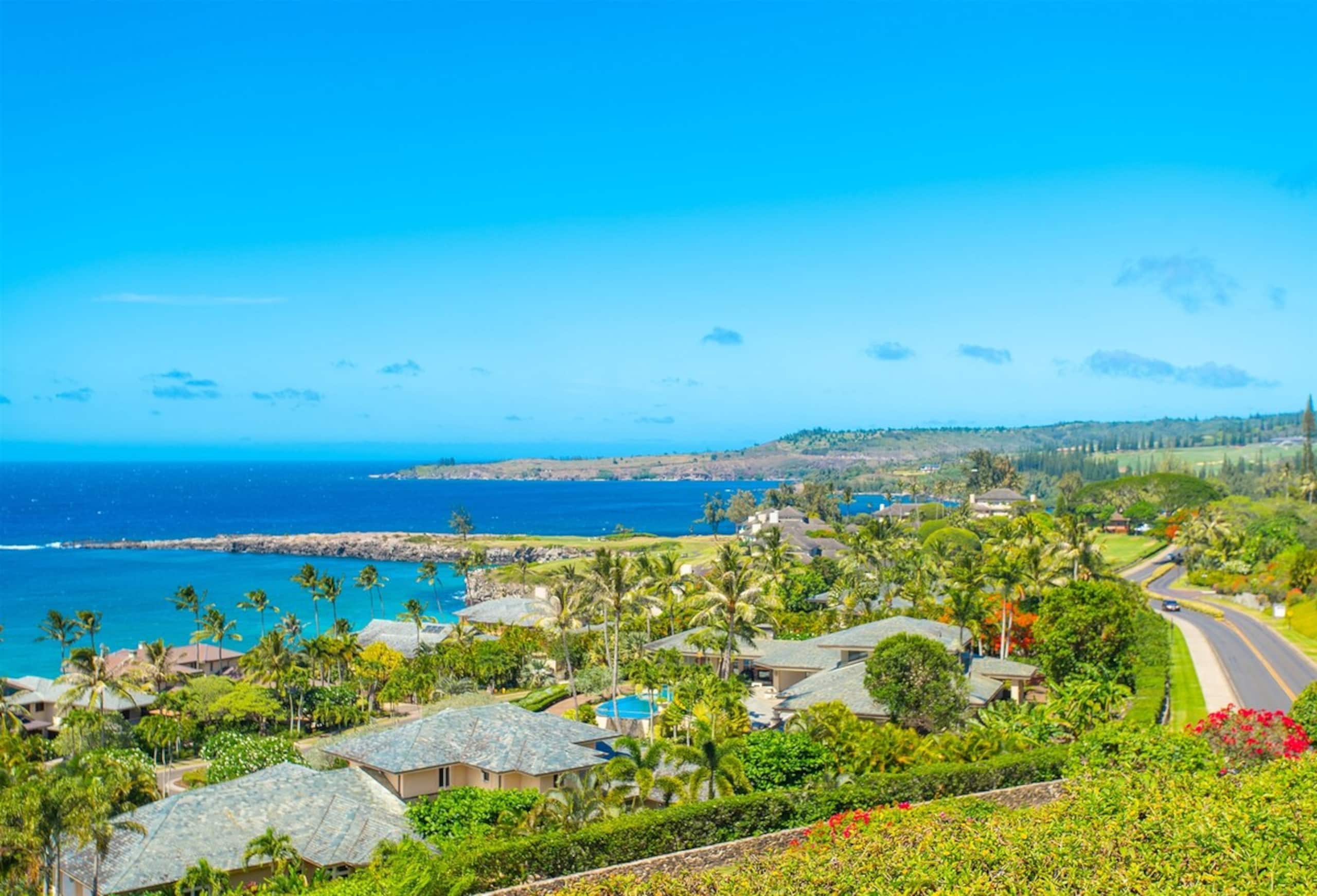 Villa in Lahaina · ★4.9 · 1 bedroom · 2 beds · 2 baths - Image 27