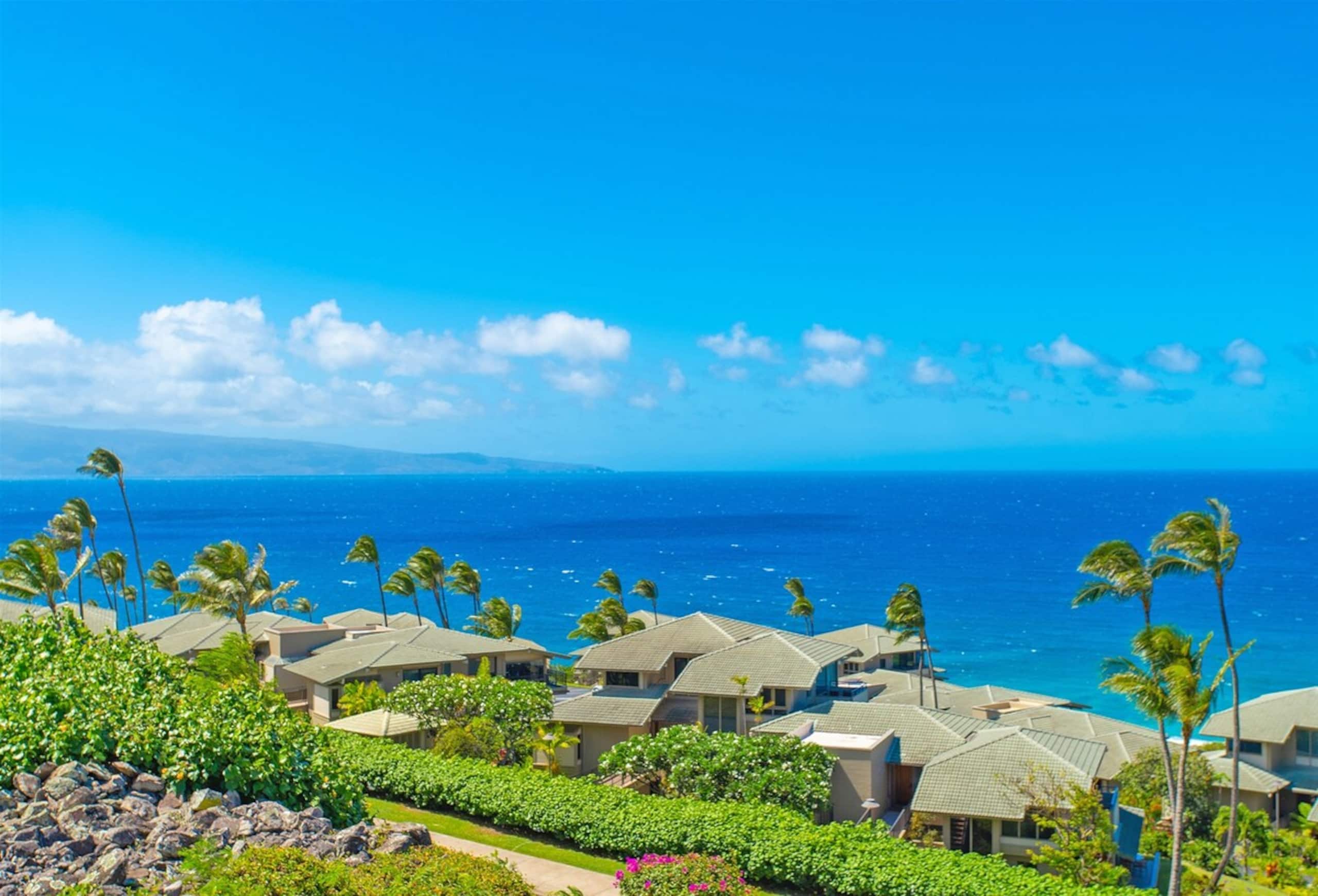 Villa in Lahaina · ★4.9 · 1 bedroom · 2 beds · 2 baths - Image 30