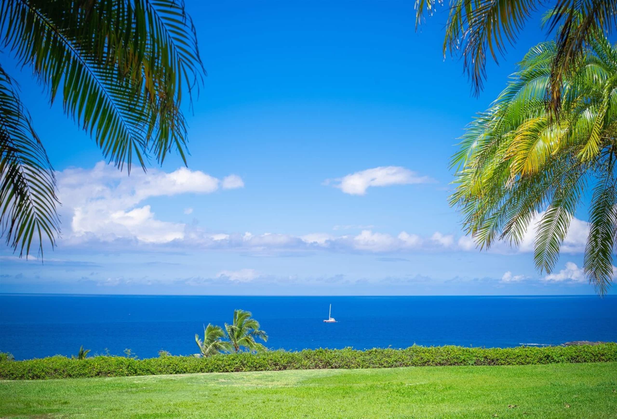 Villa in Lahaina · ★4.9 · 1 bedroom · 2 beds · 2 baths - Image 11