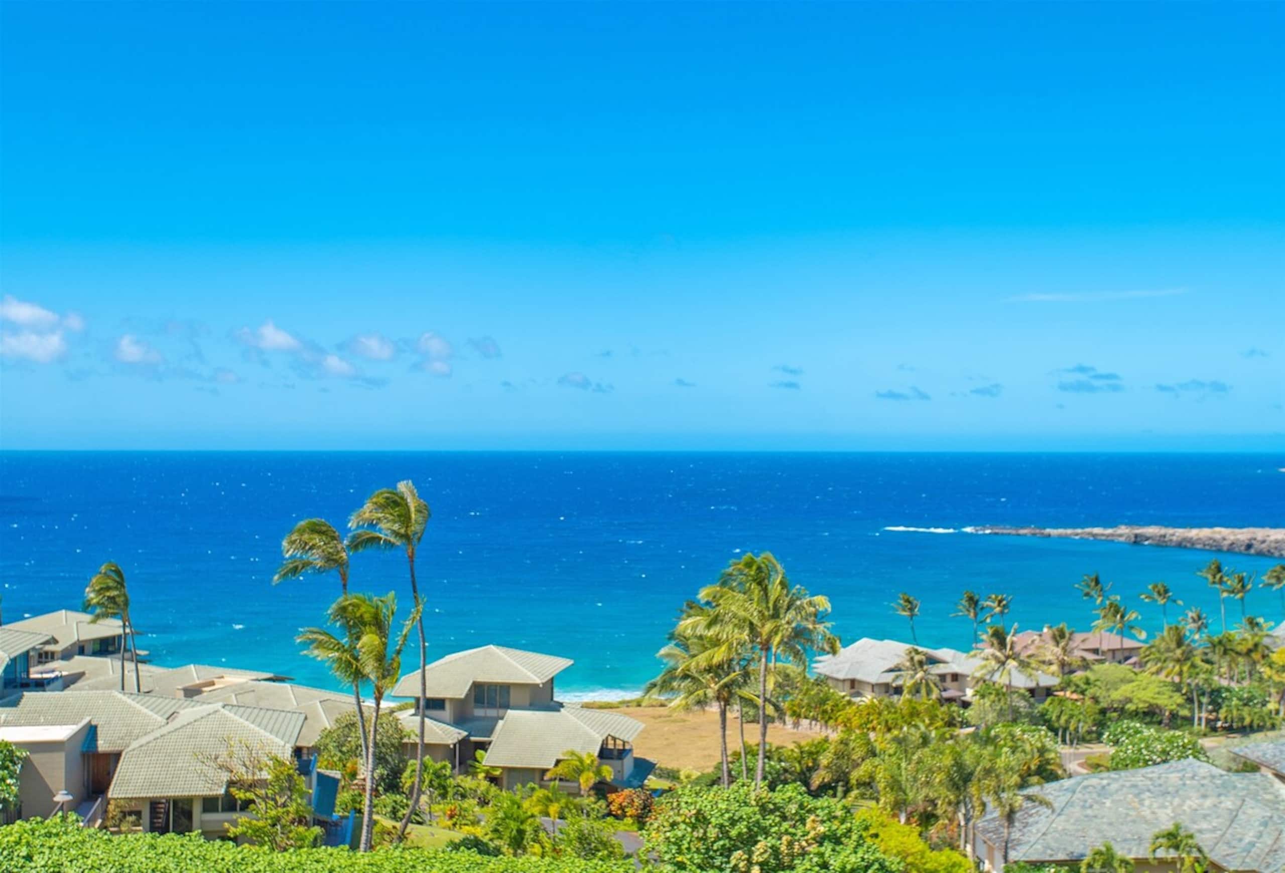 Villa in Lahaina · ★4.9 · 1 bedroom · 2 beds · 2 baths - Image 29