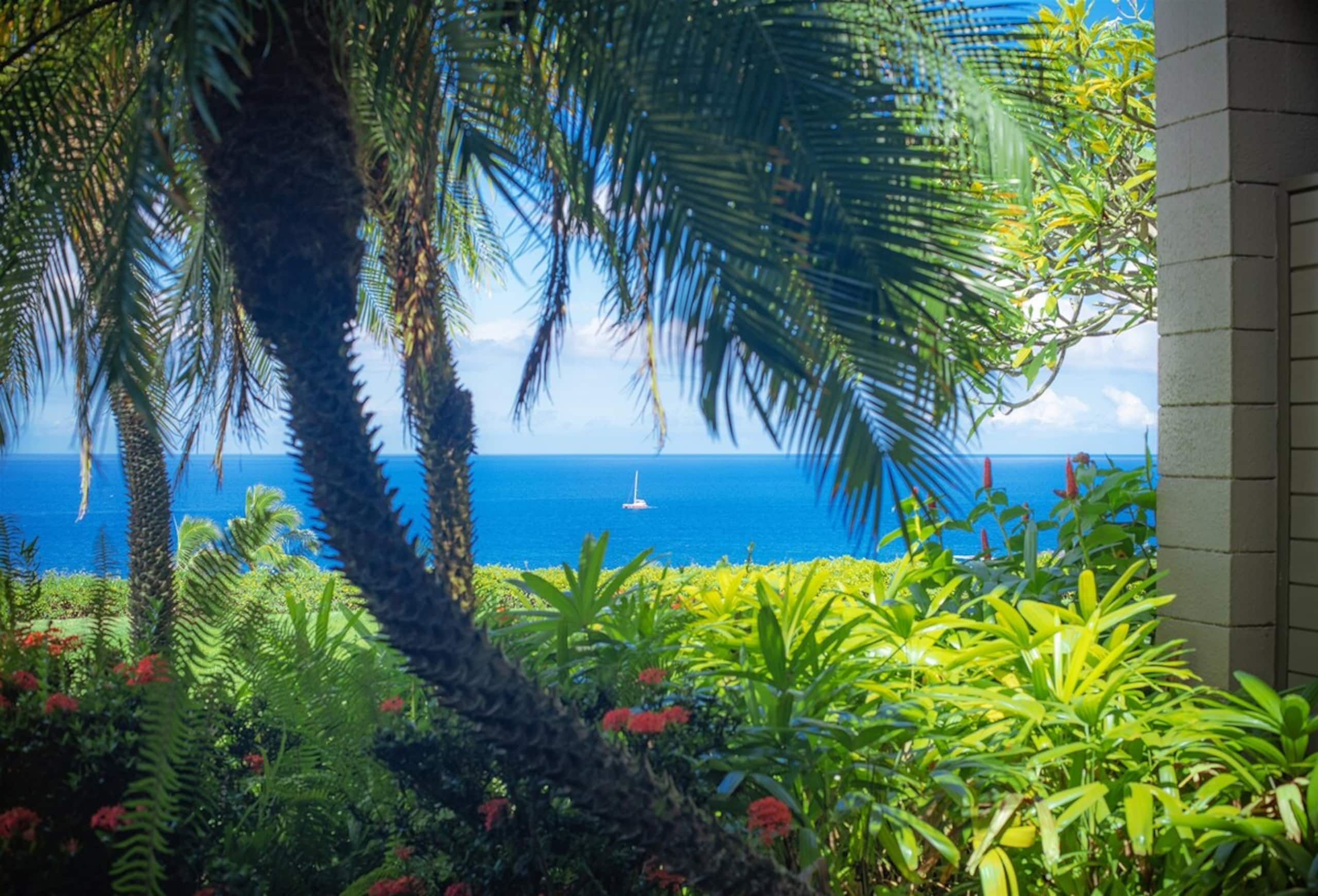 Villa in Lahaina · ★4.9 · 1 bedroom · 2 beds · 2 baths - Image 15