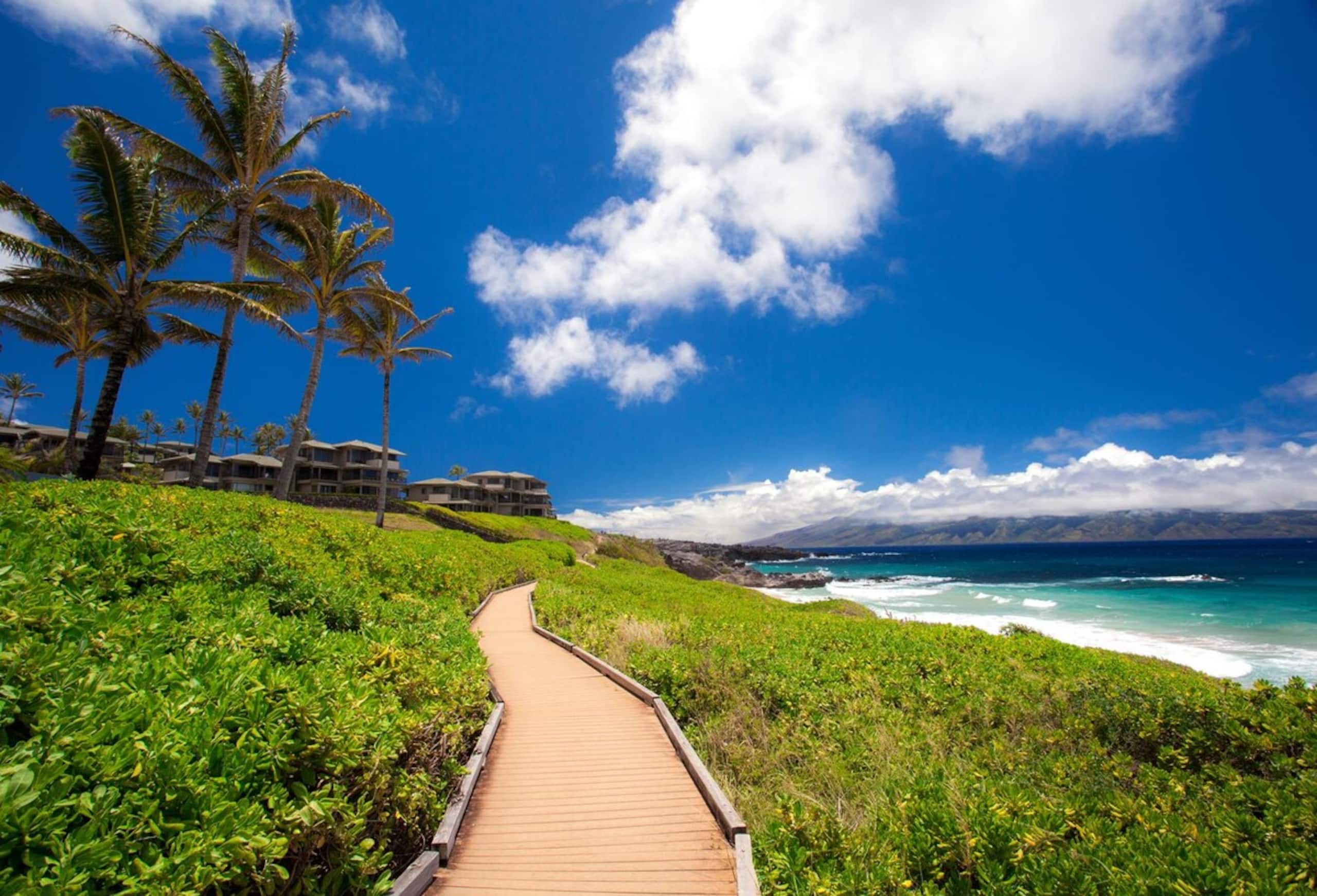 Villa in Lahaina · ★4.9 · 1 bedroom · 2 beds · 2 baths - Image 59