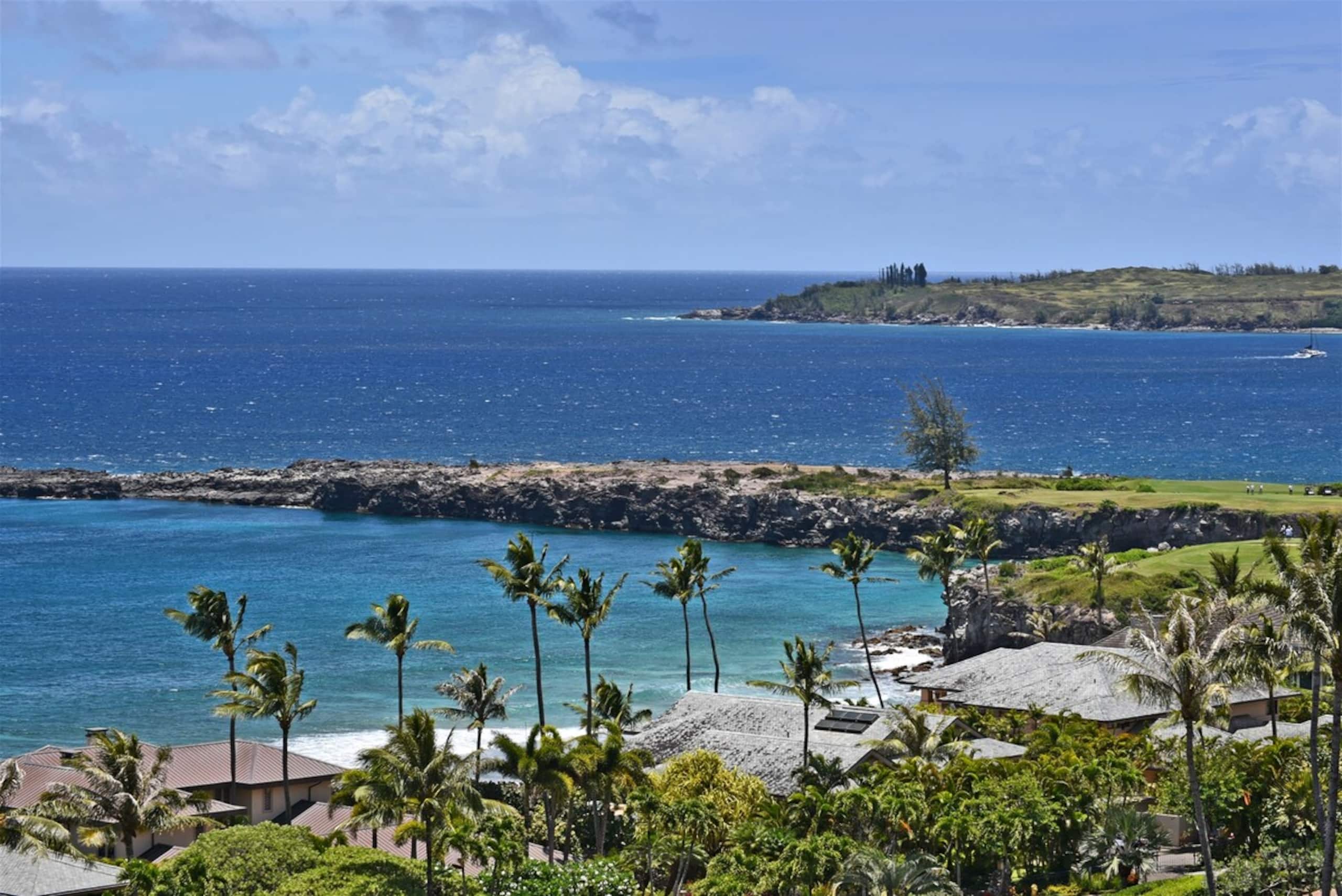Villa in Lahaina · ★4.9 · 1 bedroom · 2 beds · 2 baths - Image 32