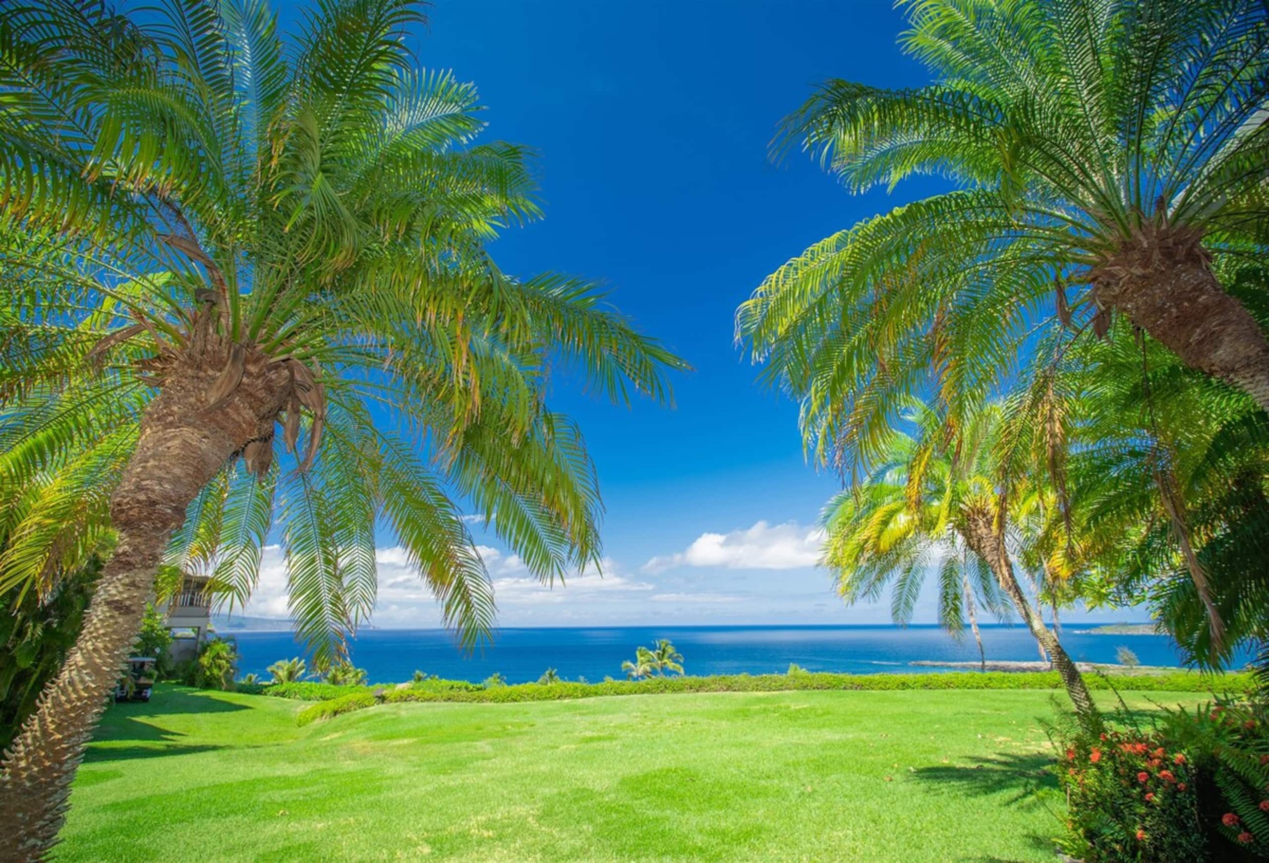 Villa in Lahaina · ★4.9 · 1 bedroom · 2 beds · 2 baths - Image 10