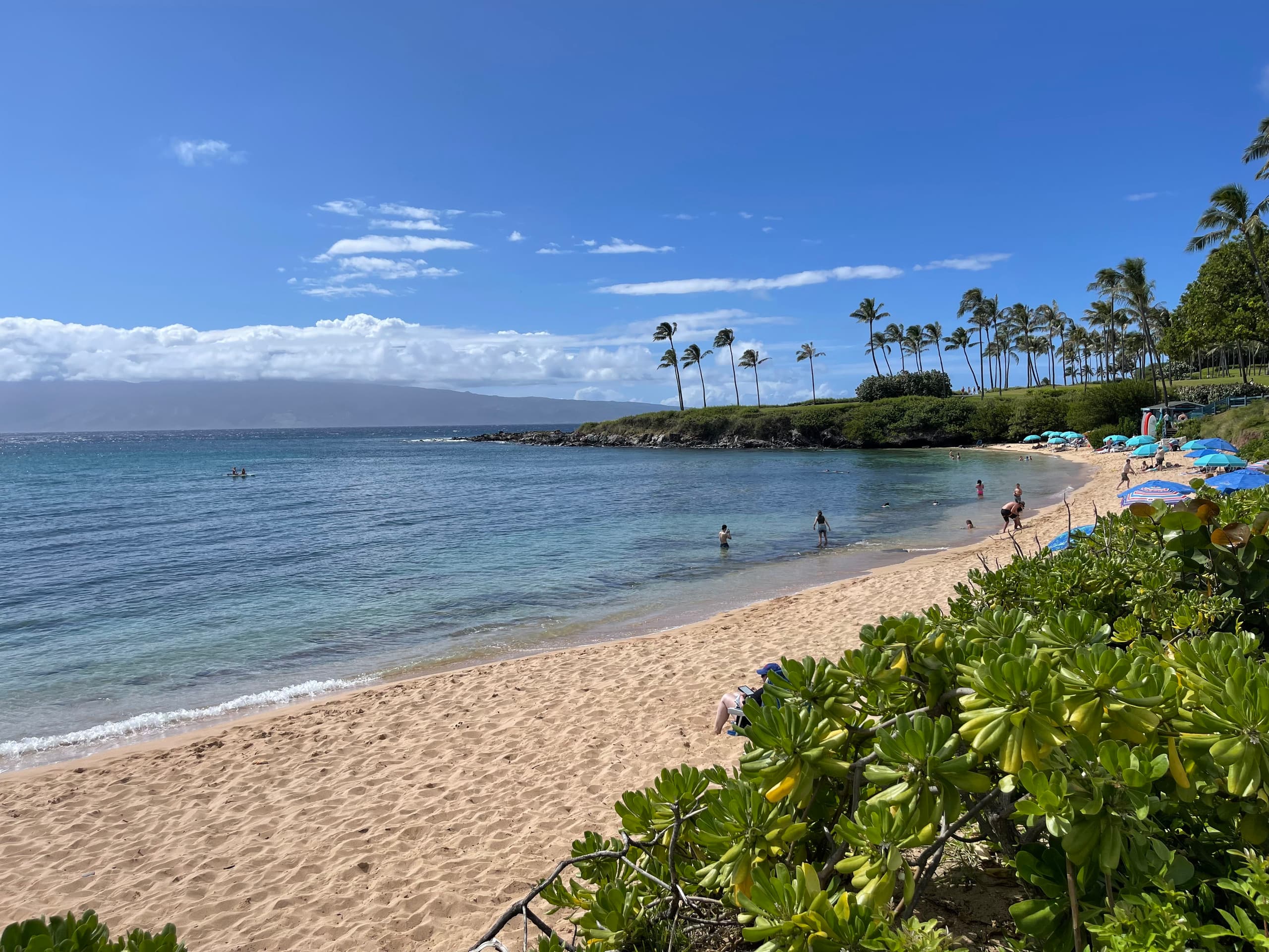 Condo in Lahaina · ★4.85 · 1 bedroom · 2 beds · 1 bath - Image 43