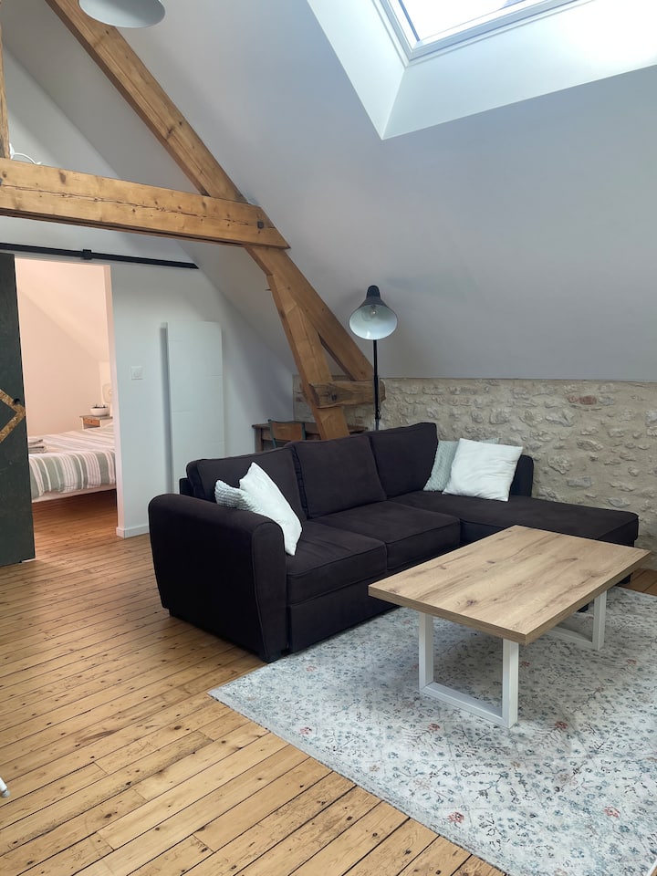 Appartement Cosy - Olivet