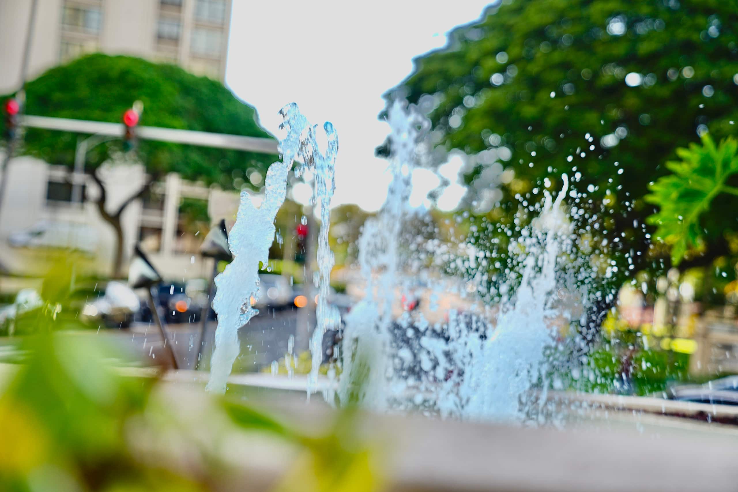 Hotel in Honolulu · ★4.53 · Studio · 2 beds · 1 private bath - Image 60