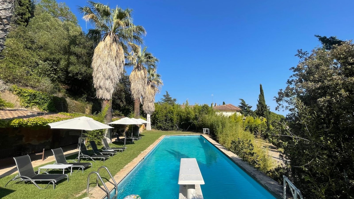 A spacious outdoor area features a long swimming pool surrounded by palm trees and lush greenery. Sun loungers are placed on the grass next to the pool, with patio umbrellas providing shade. A diving board extends into the clear blue water.
