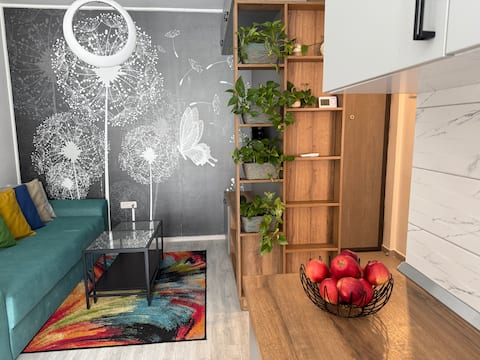 Top performing Airbnb: Coco Luxury Apartment in Ilfov