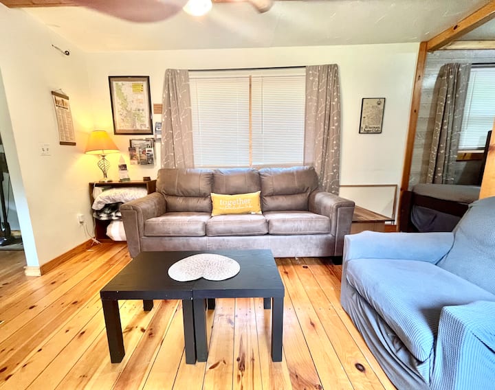 Pull out sofa sleeper.  