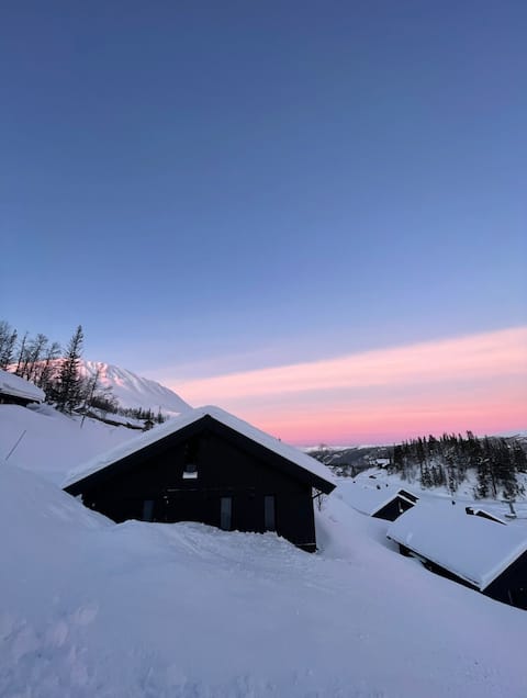 Cabin in a fantastic location! Ski-in/ski-out.