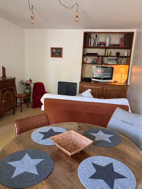 Nice bright house in La Roche-Posay