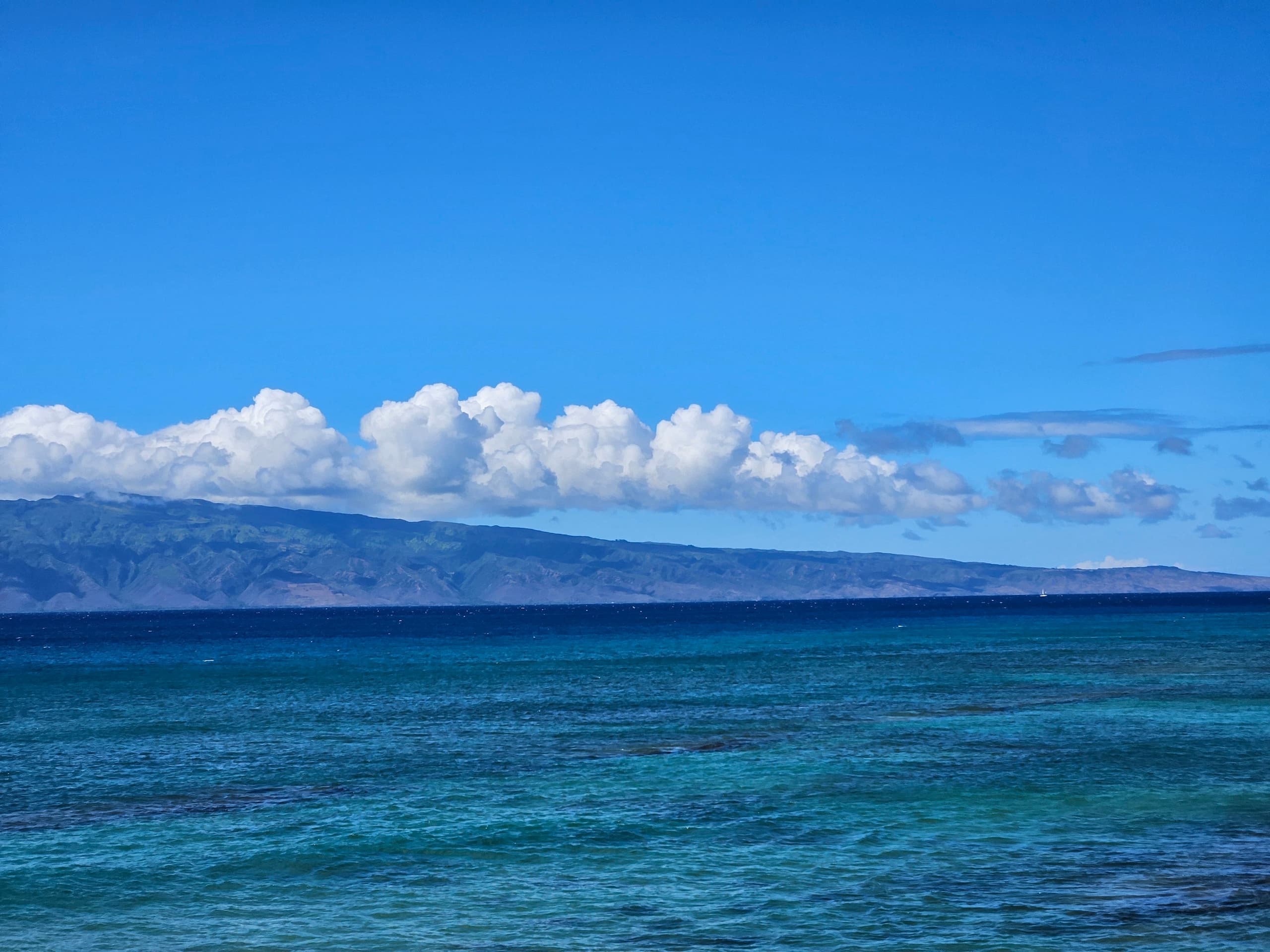 Condo in Lahaina · ★4.78 · 1 bedroom · 1 bed · 1 bath - Image 43