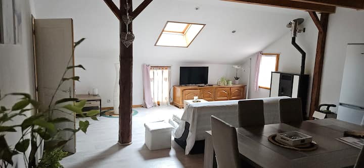 Superbe Appartement En Duplex Avec Terrasse - Aigueblanche