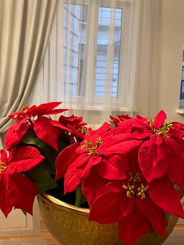 Spacious 5 bedroom apartment in the centre of Riga