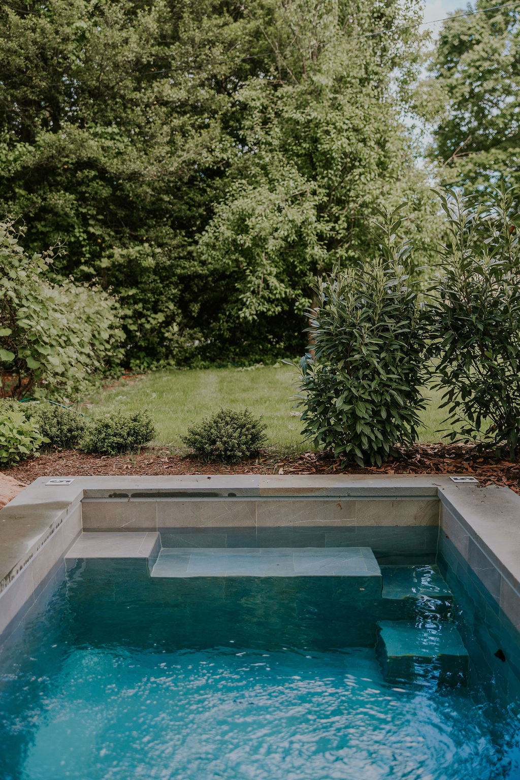 A heated saltwater plunge pool is depicted, featuring clear blue water and elegant steps leading in. Surrounding greenery includes lush bushes and mature trees, enhancing the tranquil outdoor setting.