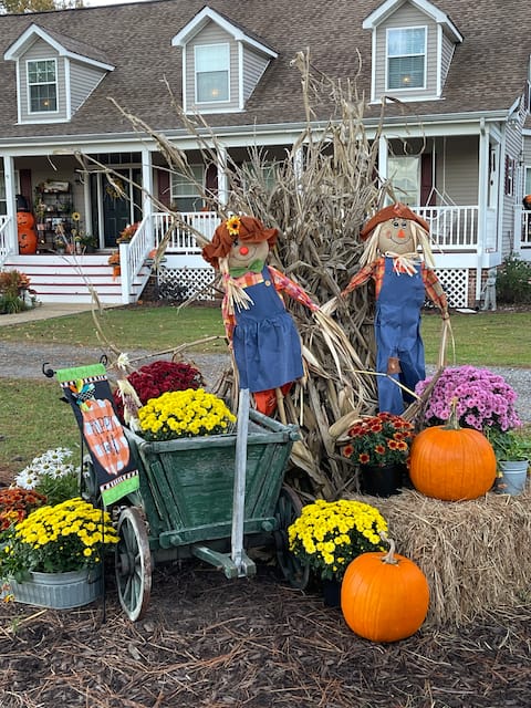 Cozy Elegance•sleeps 12•3 full baths•8 beds